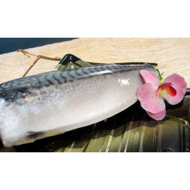 長齊-薄鹽鯖魚切片